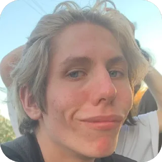 🙂 emoji смешнявка Telegram sticker 16 of 24