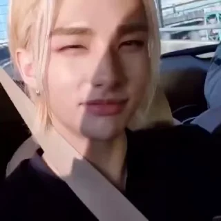 🐾 emoji hyunjin @STRARCH Telegram sticker 12 of 30
