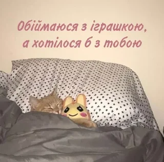 😩 emoji кря-тортик Telegram sticker 5 of 64