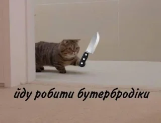 😎 emoji кря-тортик Telegram sticker 22 of 64