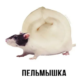 😄 emoji Артем педик Telegram sticker 13 of 31