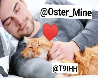 😍 emoji Шип Быдлобот и его фури Telegram sticker 6 of 35