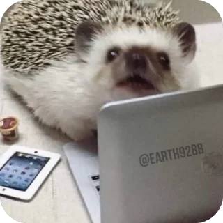 Sticker from Hedgehogs • @Earth928B