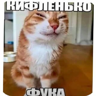 🐱 emoji Втф @KezNL Telegram sticker 11 of 117