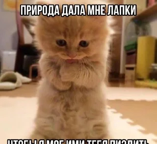🌟 emoji стикеры от некита Telegram sticker 8 of 119
