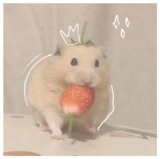 🍓 emoji ꒰ хомячки ꒱ @plusikradom Telegram sticker 23 of 40