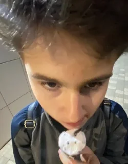 😳 emoji котята🥰 Telegram sticker 20 of 120