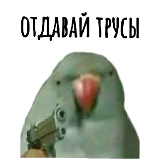 Sticker from ХАМИМ КРАСИВО