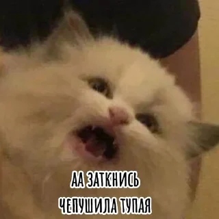 🌟 emoji ~Хамить красиво~ Telegram sticker 22 of 113