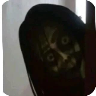🛋 emoji Уууу как страшно Telegram sticker 3 of 69