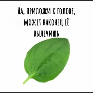 🌟 emoji ~Хамить красиво~ Telegram sticker 23 of 113