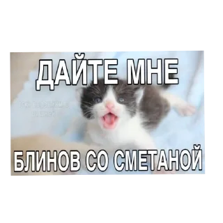 ❤ emoji Пиздец а не жизнь Telegram sticker 3 of 15