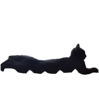 🪟 emoji Сусик Telegram sticker 6 of 14