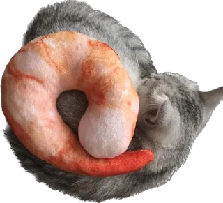 🍤 emoji Brie🤍 Telegram sticker 6 of 76