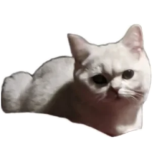 🌟 emoji Синя Telegram sticker 15 of 66