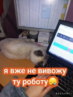 🌟 emoji Писюльки Telegram sticker 11 of 23