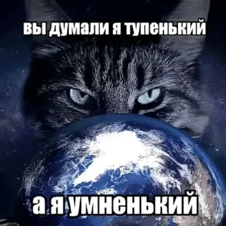 🌟 emoji пикчитиктокдлябогатых Telegram sticker 15 of 100