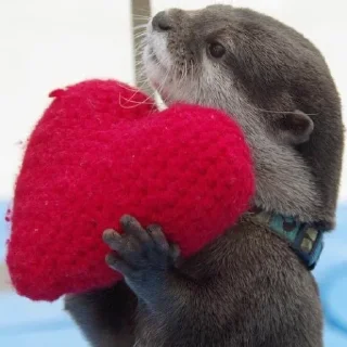 🥰 emoji Выдры (@safthome) Telegram sticker 9 of 120