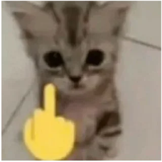 Sticker from Котике і щось @wuxiangay