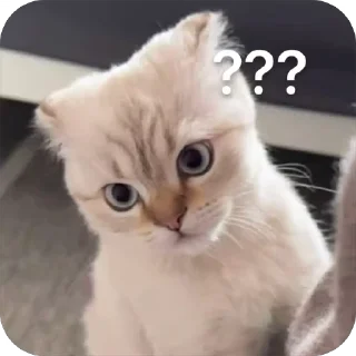 👿 emoji Сёмочка Telegram sticker 23 of 56
