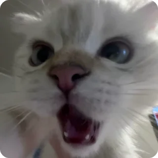 😵‍💫 emoji Сёмочка Telegram sticker 9 of 56