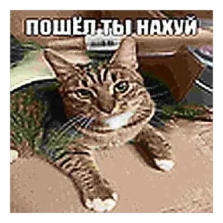 🖕 emoji ДЛЯ ДУШИ :: @louflibe Telegram sticker 6 of 120