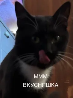 😋 emoji KoharaBoris Telegram sticker 23 of 31