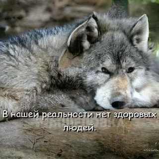 Sticker from нейросетевая философия