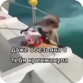 🌟 emoji Брадки 2 Telegram sticker 13 of 120