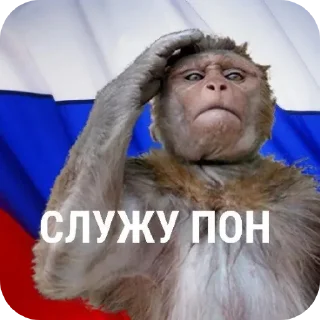 Sticker from Обезьяны~Бебезяны