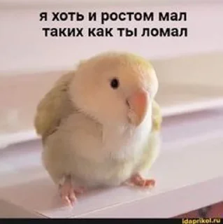 🤩 emoji Да, это я, ичто? Telegram sticker 8 of 92