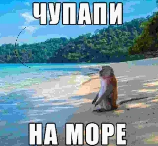 🌟 emoji Леша минин Telegram sticker 7 of 38
