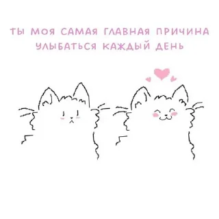 🌟 emoji koteki Telegram sticker 20 of 39