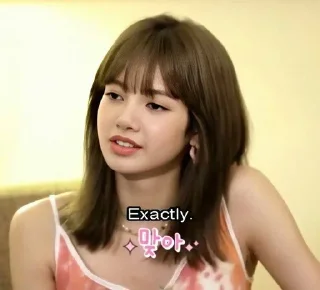 🖤 emoji blackpink | @meilinsi Telegram sticker 18 of 105