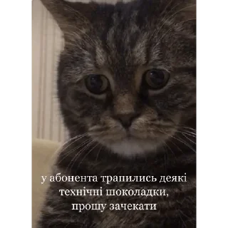 Sticker from Наліпки від Олежика