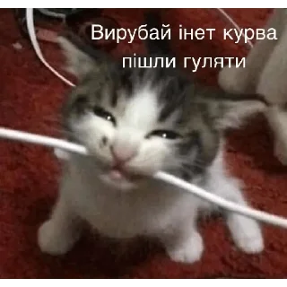 👣 emoji Наліпки від Олежика Telegram sticker 22 of 71