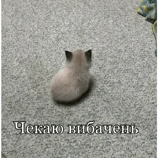 😔 emoji Наліпки від Олежика Telegram sticker 16 of 71