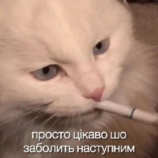 🚬 emoji Наліпки від Олежика Telegram sticker 6 of 71