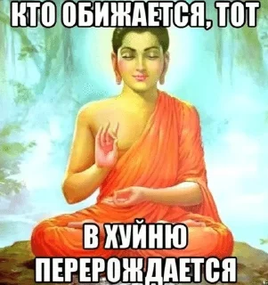 Sticker from будда одобряет