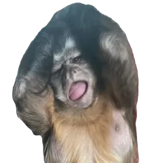 🫥 emoji Пак Владислава П Telegram sticker 7 of 52