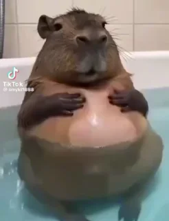 🛁 emoji Ииии Telegram sticker 16 of 19