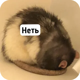 👎 emoji Hi-hi-ha Telegram sticker 21 of 34
