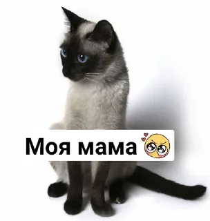 🎀 emoji Филишечка Telegram sticker 11 of 77