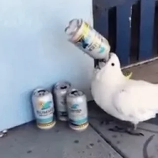 🍺 emoji видеопопуги Telegram sticker 6 of 50