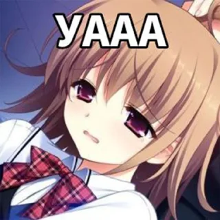 🥹 emoji а ти гаварил сиводня ня? Telegram sticker 5 of 25