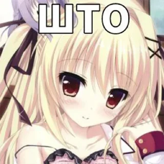 🥹 emoji а ти гаварил сиводня ня? Telegram sticker 18 of 25