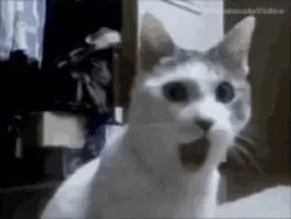 😦 emoji педикбург на пидоровка Telegram sticker 18 of 22