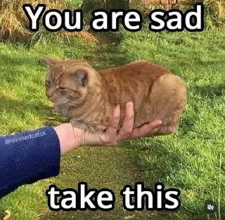 🙂 emoji Kitties Telegram sticker 22 of 59