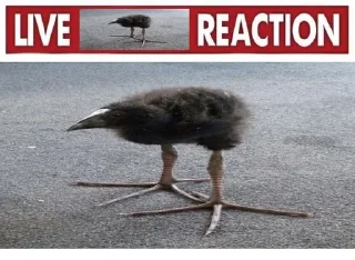 😐 emoji DAMN!!!!!!! Telegram sticker 20 of 60