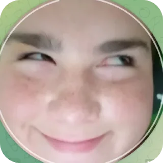 🙃 emoji фанаты саши Telegram sticker 14 of 96